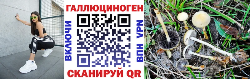 Псилоцибиновые грибы MAGIC MUSHROOMS  Горнозаводск 
